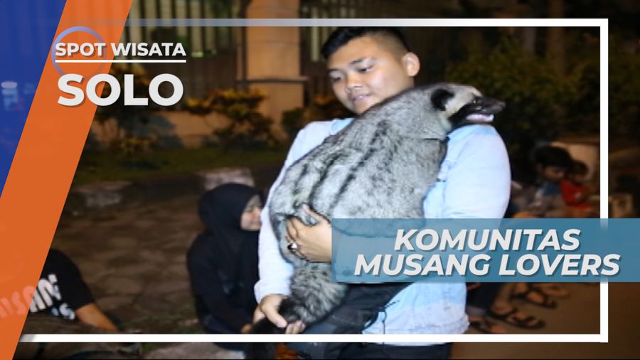 Berkenalan Dengan Komunitas Pecinta Musang Solo