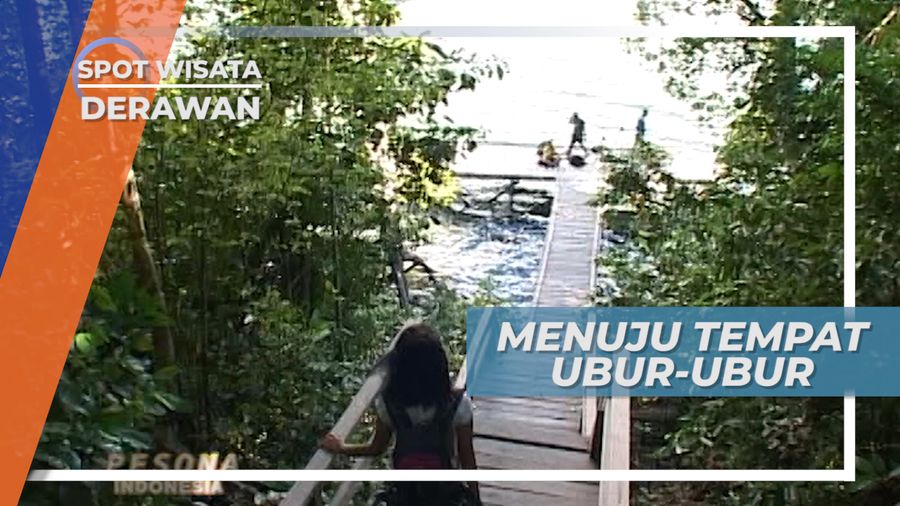 Menuju Danau Kakaban, Rumah Spesies Ubur-ubur yang Tidak Menyengat, Derawan
