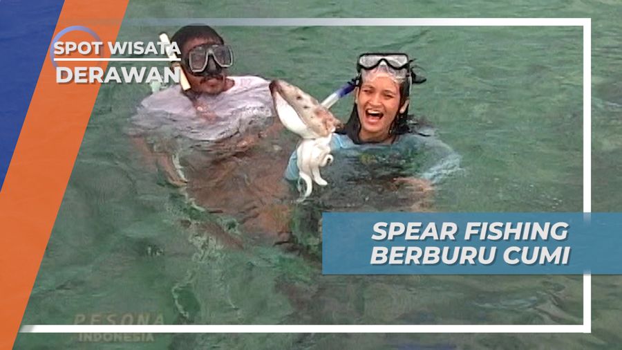 Spear Fishing, Olahraga Memancing Versi Modern, Derawan Kalimantan Timur