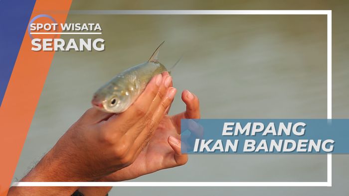 Pecak Bandeng Desa Sawah Luhur Serang, Kuliner Kegemaran Sultan Banten