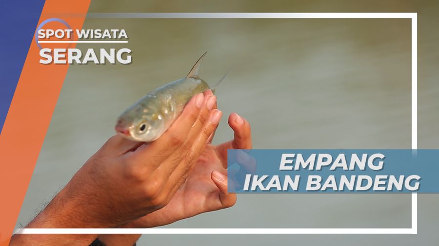 Pecak Bandeng Desa Sawah Luhur Serang, Kuliner Kegemaran Sultan Banten