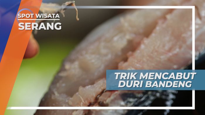 Cara Mudah Cabut Duri Bandeng Desa Sawah Luhur Serang