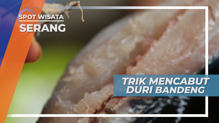 Cara Mudah Cabut Duri Bandeng Desa Sawah Luhur Serang