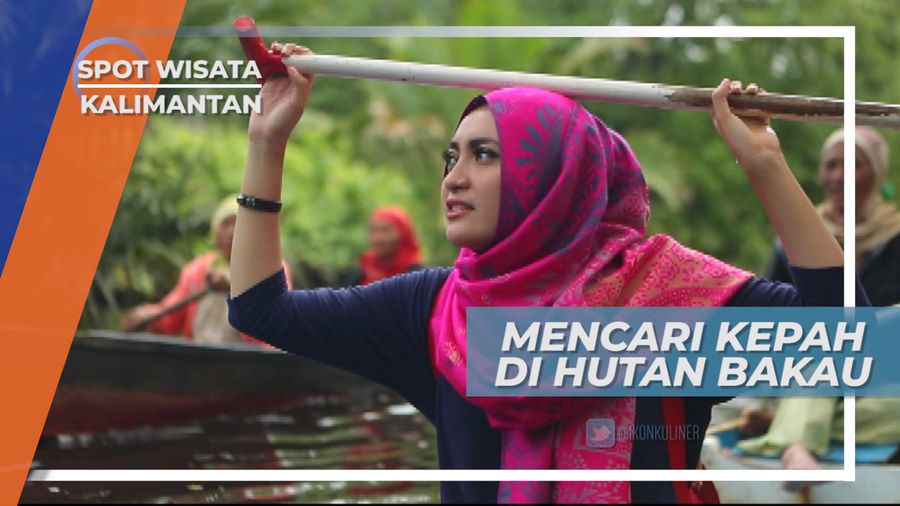 Mencari Kepah, Sejenis Kerang yang Hidup di Hutan Bakau Kalimantan