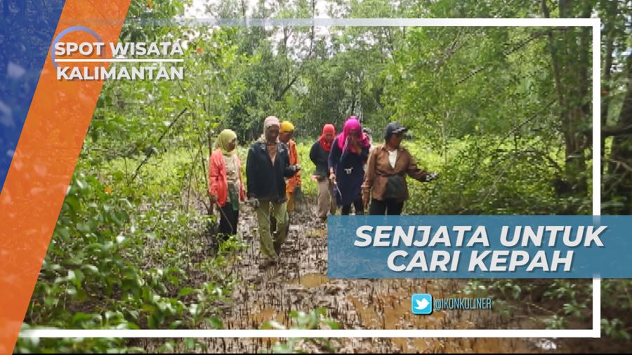 Penggaruk Lumpur dan Sandal Jumbo, Senjata Untuk Mencari Kepah Kalimantan