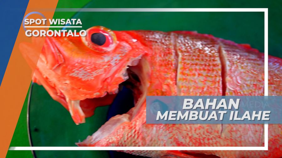 Memasak Ilahe, Kuliner Khas Gorontalo Berbahan Dasar Ikan Kakap Merah