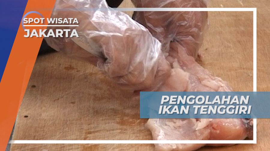 100Kg Ikan Tenggiri Segar Untuk Membuat Pempek Jakarta 