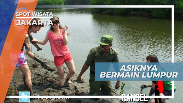Asiknya Berlumpur Ria Di Ibu Kota Jakarta, Demi Tumbuhnya Si Hutan Bakau