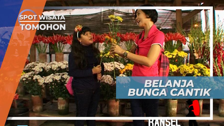 Belanja Bunga Untuk Orang Tercinta di Tomohon, Sulawesi Utara