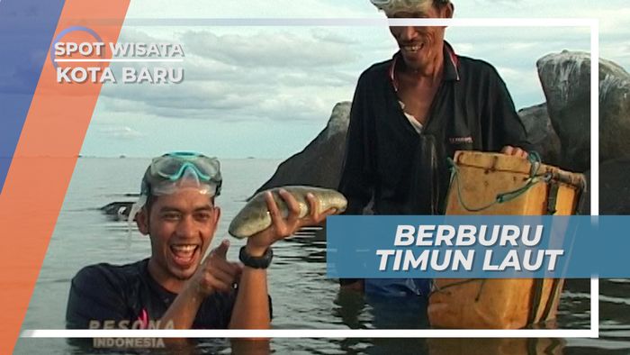 Teripang, Si Timun Laut Kekayaan Alam Perairan Kotabaru Kalimantan Selatan