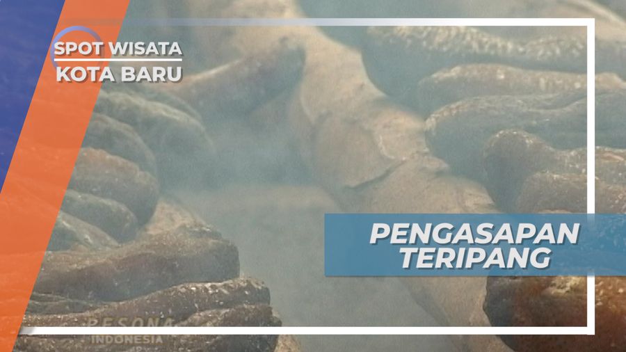 Beginilah Proses Pengasapan Teripang yang Memakan Waktu Hingga 10 Jam, kalimantan selatan