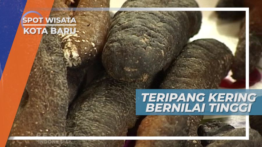 Teripang Kering, Produk Lokal Bernilai Jual Tinggi yang Diekspor ke Luar Negri, kalimantan selatan
