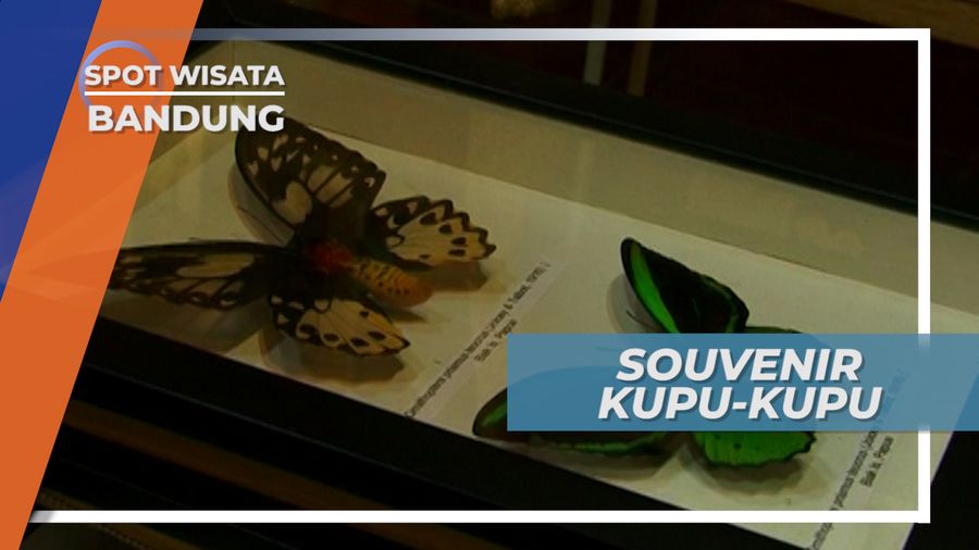 Berburu Souvenir Unik dan Lucu di Taman Kupu-kupu Bandung