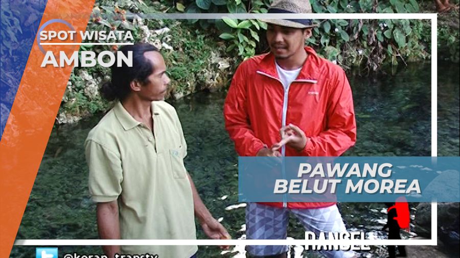 Menggunakan Telur, Pawang ini Memancing Belut Raksasa Keluar dari Persembunyian, Ambon