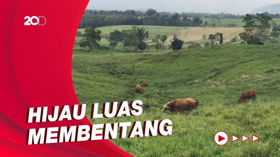 Padang Mengatas di Sumbar, New Zealand-nya Indonesia