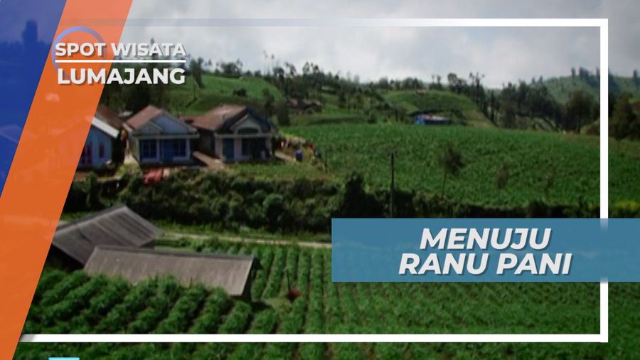Perjalanan Menuju Ranu Pani, Danau Indah di Lereng Semeru, Lumajang