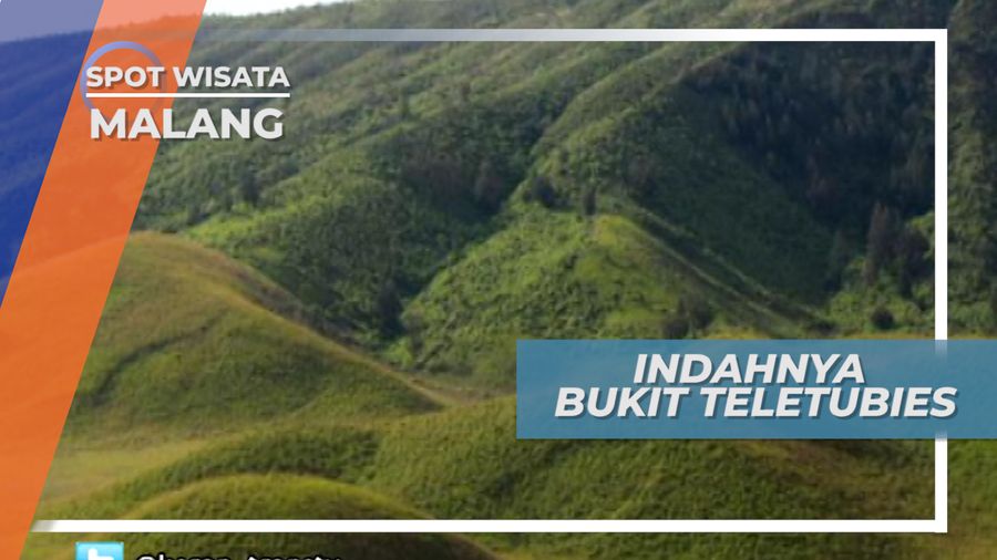 Indahnya Bukit Teletubies, Padang Savana di Kawasan Gunung Bromo