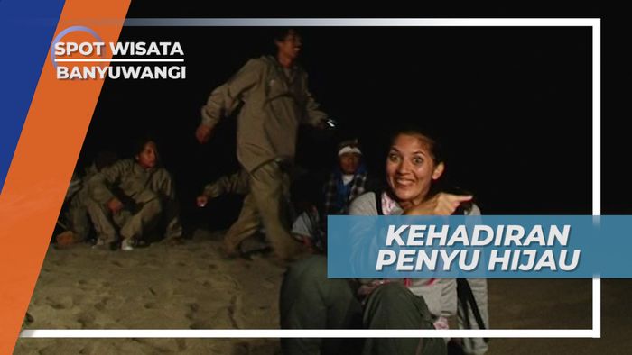 Pantai Sukamade, Habitat Penyu Hijau Untuk Bertelur, Banyuwangi