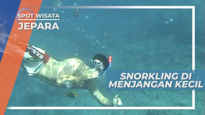 Keindahan Terumbu Karang Bawah Air Pulau Menjangan Kecil Karimunjawa Jepara Jawa Tengah