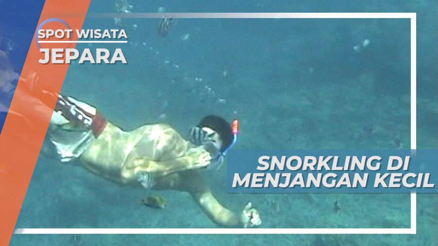 Keindahan Terumbu Karang Bawah Air Pulau Menjangan Kecil Karimunjawa Jepara Jawa Tengah