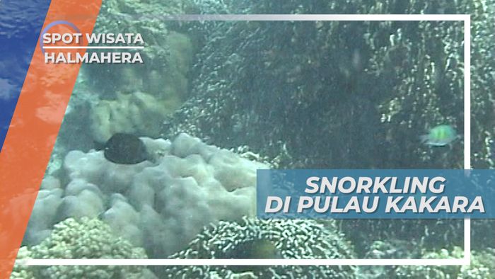Menikmati Indahnya Alam Pulau Kakara, Surga Tersembunyi di Halmahera