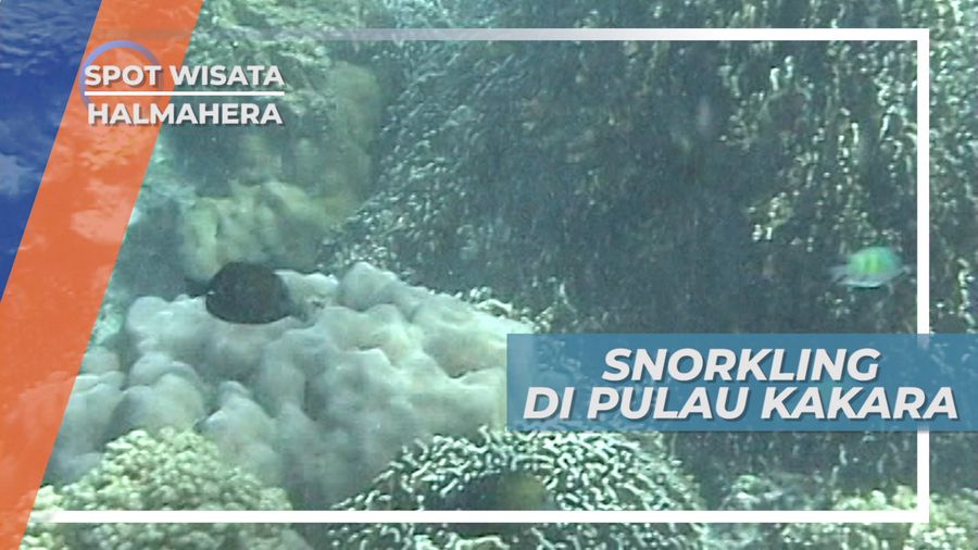 Menikmati Indahnya Alam Pulau Kakara, Surga Tersembunyi di Halmahera