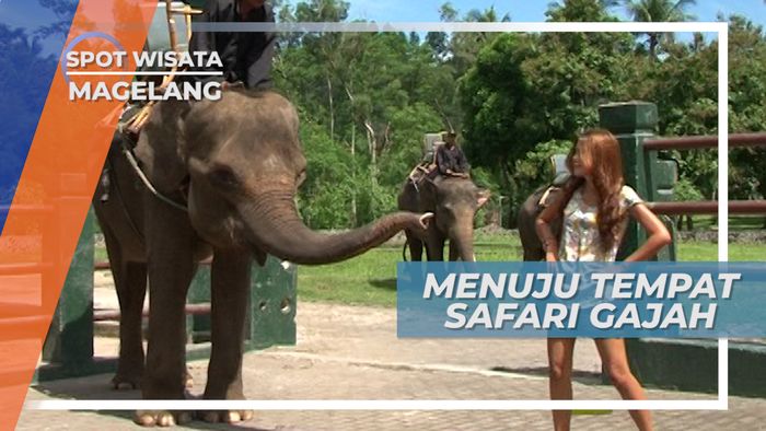 Naik Delman Menuju Tempat Safari Gajah Magelang Jawa Tengah