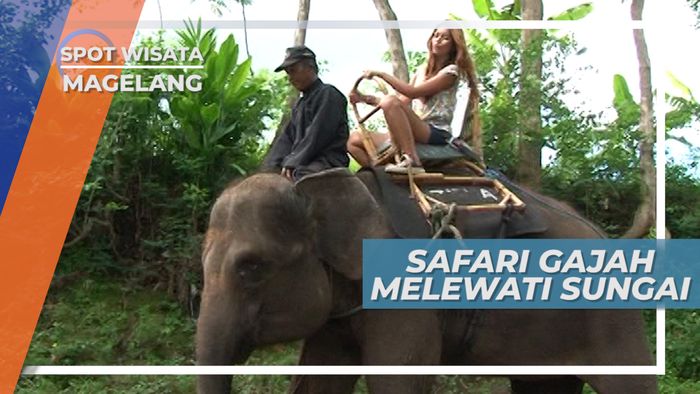 Safari Gajah Menyusuri Sungai, Desa Wisata Magelang