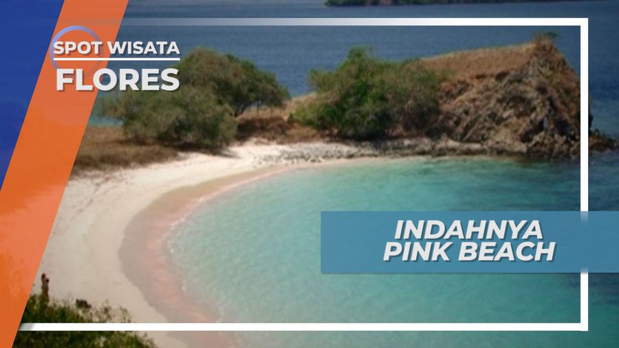 Indahnya Pink Beach, Kejaiban Alam di Flores