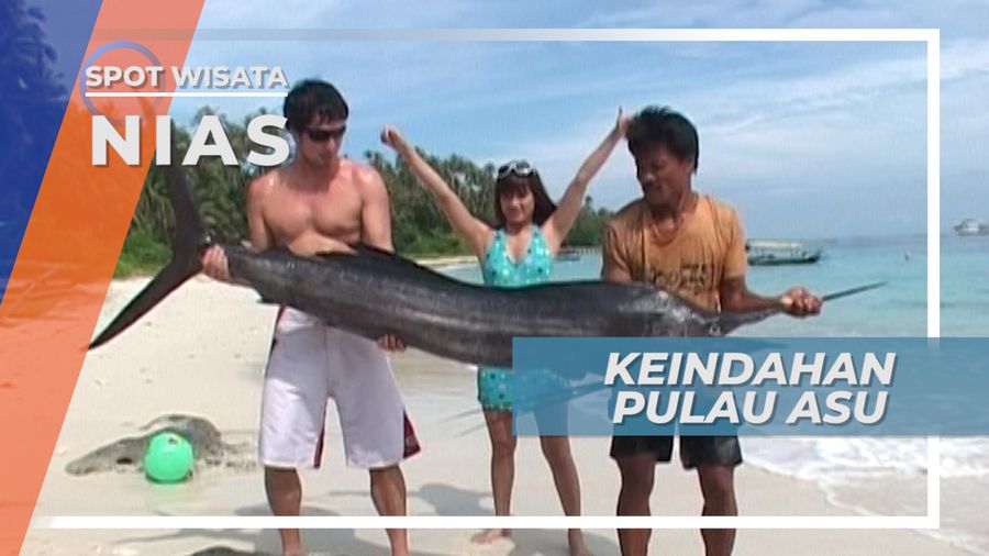 Pulau Asu, Indahnya Pantai dan Perairan Sirombu Nias