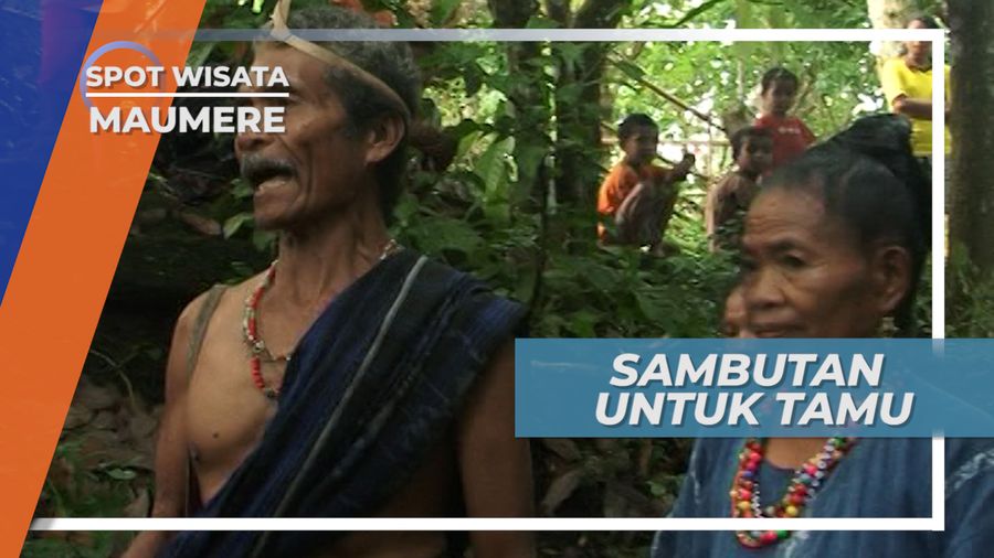 Ritual Penyambutan Tamu Warga Maumere