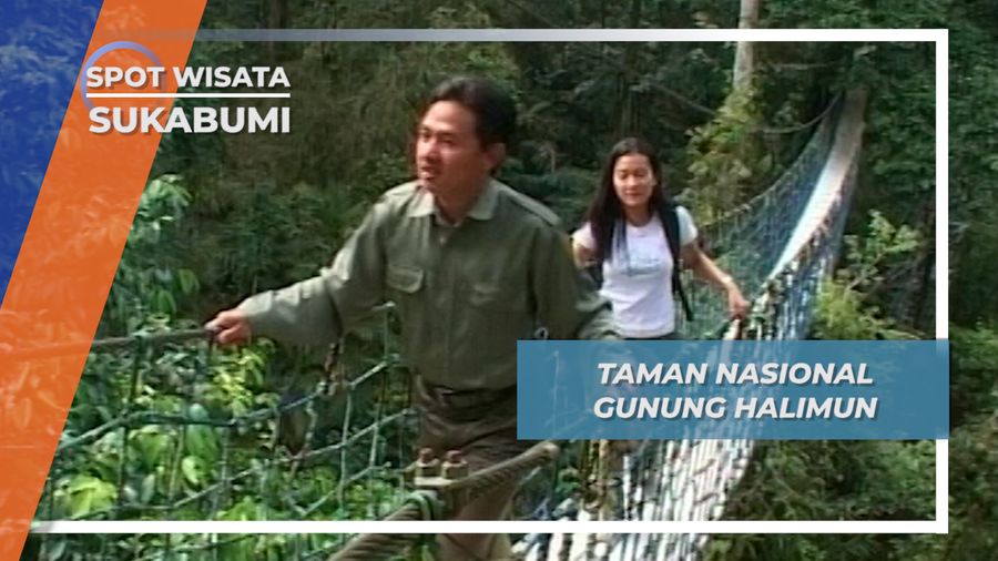 Taman Nasional Gunung Halimun, Ekosistem Hutan Hujan Tropis Sukabumi