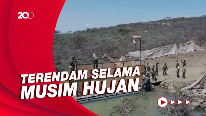 Penyelamatan Jerapah dari Pulau yang Akan Tenggelam