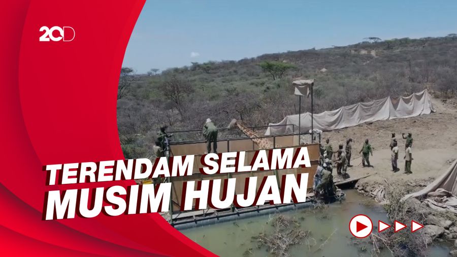 Penyelamatan Jerapah dari Pulau yang Akan Tenggelam