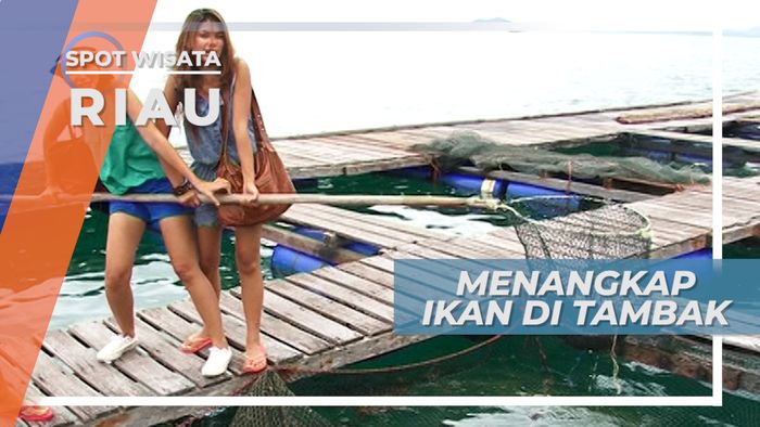 Menangkap Ikan Laut di Camp Ikan Sedanau Natuna