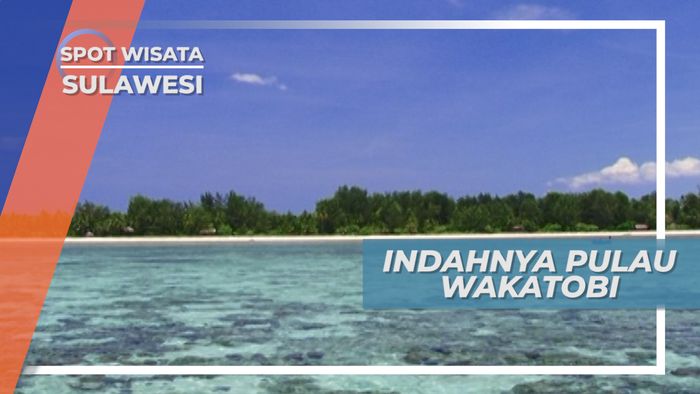 Taman Nasional Wakatobi Sulawesi Tenggara, Keindahan Mengundang Turis Hingga Peneliti Mancanegara