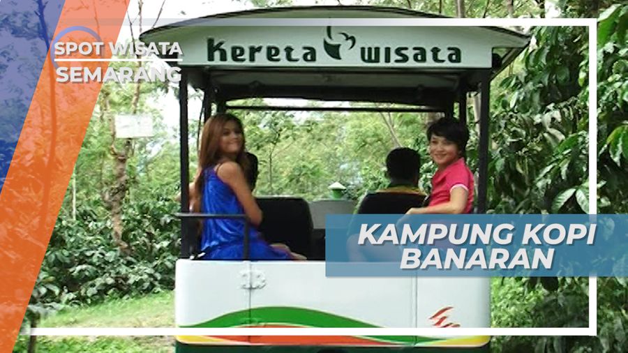 Berkeliling Kebun Kopi, Menikmati Pemandangan Indah Perbukitan Semarang