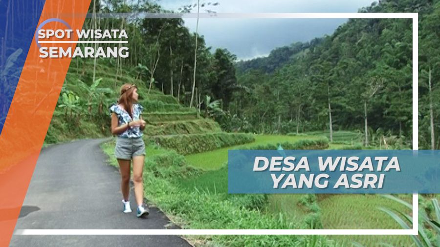 Desa Wisata yang Asri, Dataran Tinggi Bandungan Semarang