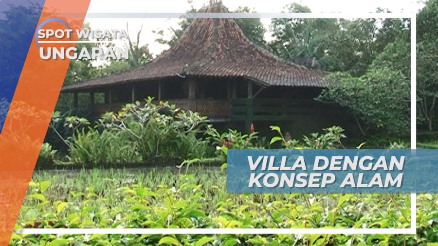 Villa Beratap Joglo Bernuasa Pedesaan Yang Alami di Ungaran Jawa Tengah