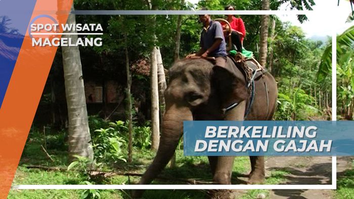 Elephant Ride Borobudur, Dijemput Gajah Langsung di Depan Penginapan, Hanya di Magelang