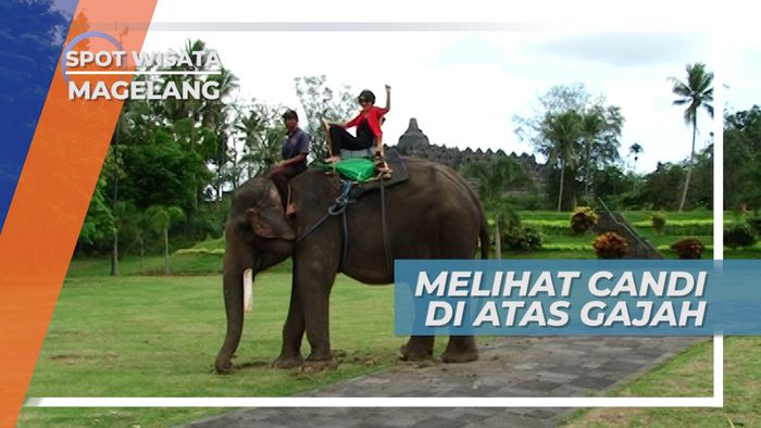 Melihat Candi Borobudur di Atas Gajah Magelang Jawa Tengah 