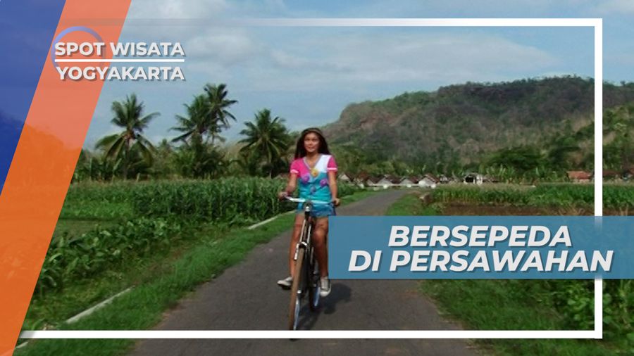 Bersepeda Ontel di Persawahan Yogyakarta