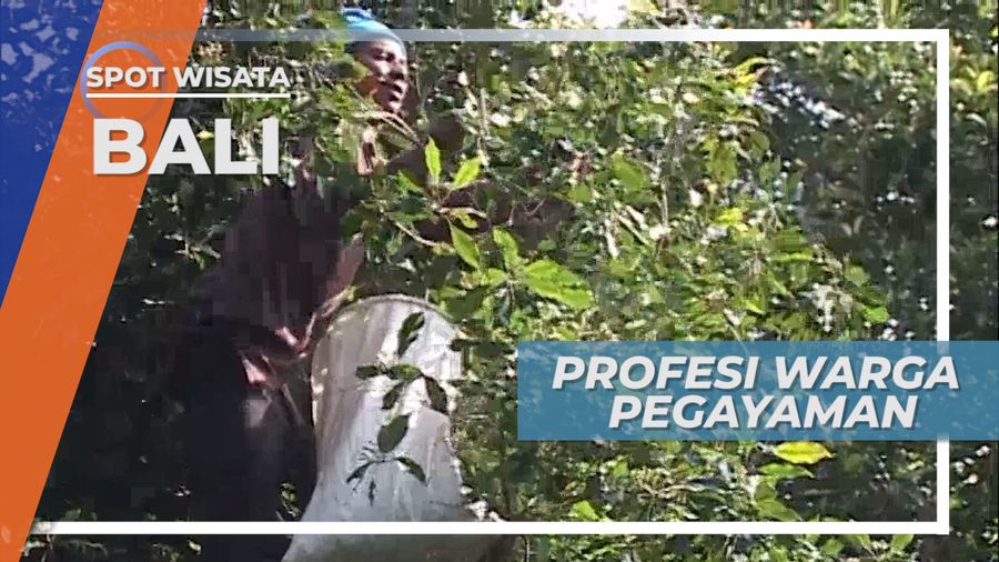 Profesi Warga Pegayaman Buleleng Bali