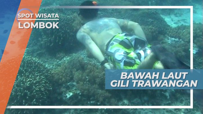 Keindahan Bawah Laut Gili Trawangan Lombok