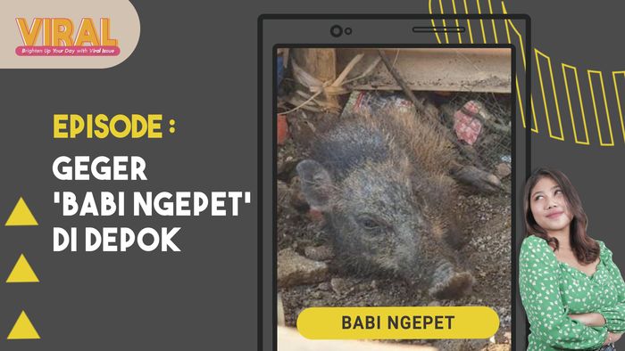 Viral Babi Ngepet di Depok, Memahami Cara Kerja Alam Gaib