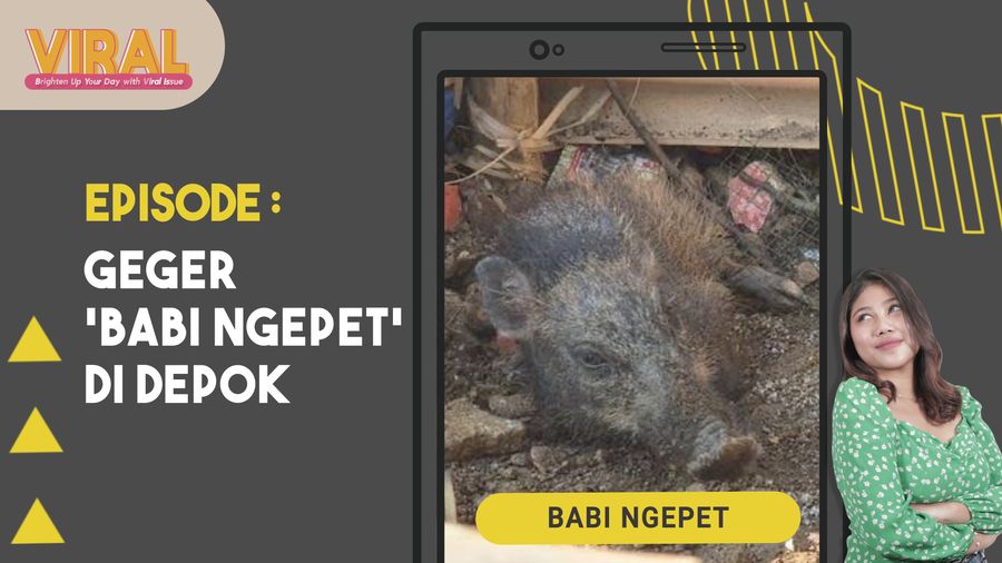 Viral Babi Ngepet di Depok, Memahami Cara Kerja Alam Gaib