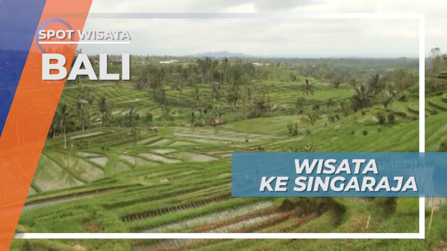 Wisata Ke Singaraja Bali