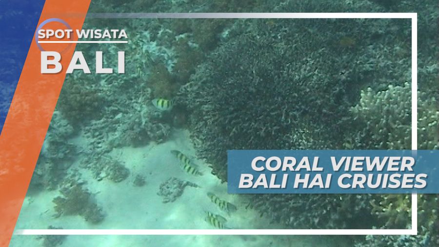 Kapal Selam Kaca, Menikmati Terumbu Karang Lembongan Bali