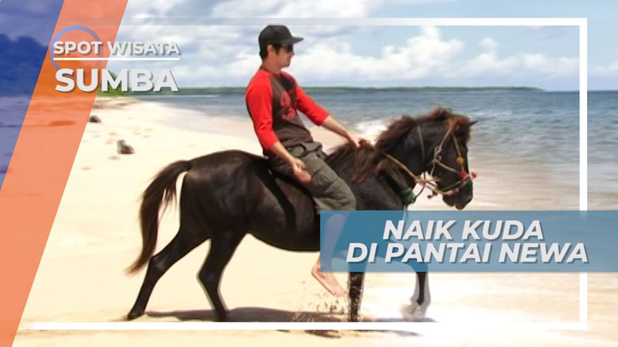 Serunya Menunggangi Kuda Asli Sumba di Pantai Newa, Sumba