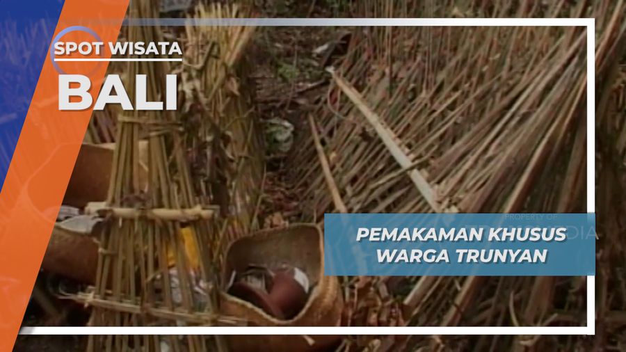Mengenal Tradisi Pemakaman di Desa Trunyan Bali yang Penuh Makna